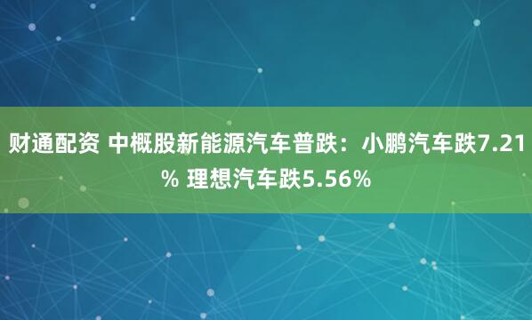 财通配资 中概股新能源汽车普跌：小鹏汽车跌7.21% 理想汽车跌5.56%