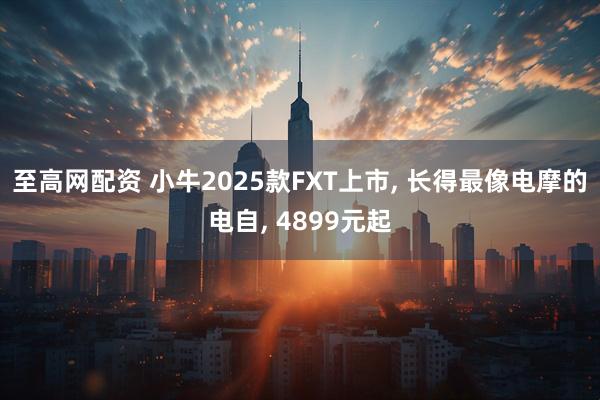 至高网配资 小牛2025款FXT上市, 长得最像电摩的电自, 4899元起